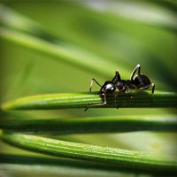 /album/newscalechar/photolia-a05-jpg/