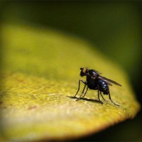 /album/newscalechar/photolia-a07-jpg/