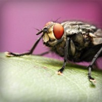 /album/newscalechar/photolia-a08-jpg/